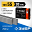 Скобы ЗУБР 31855-30