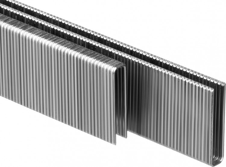 Скобы ЗУБР 31855-25