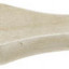 Кисть плоская малярная STAYER 01031-20