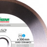Алмазный диск DISTAR 1A1R 300 Hard ceramics