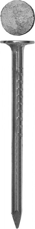 Гвозди с большой потайной головкой ЗУБР 305096-30-040