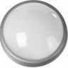 Светильник STAYER 57362-100-S