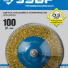 Конические щетки-крацовки ЗУБР 35233-100_z02