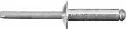 Заклепки вытяжные STAYER 31205-48-20