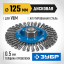 Щетка крацовка дисковая для УШМ ЗУБР 35192-125_z02