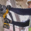 Акумуляторний штроборез DeWALT DCG200T2