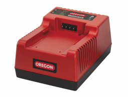 Зарядное устройство OREGON C750