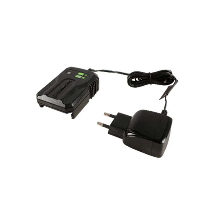 Зарядное устройство Greenworks G24UC2, 24V (слайдер 2А)