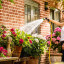 Аккумуляторный насос BOSCH Garden Pump