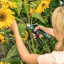 Аккумуляторный секатор BOSCH EasyPrune New
