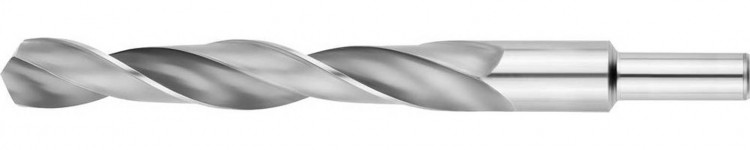 Сверло ЗУБР 4-29621-205-19.5