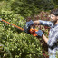 Кусторез BLACK&DECKER BEHTS301