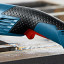 Болгарка BOSCH GWS 18-125 SL