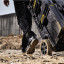 Ящик-тележка Toughsystem 2 DeWALT DWST83295-1