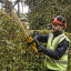 Кусторез DeWALT DCMHT563P1
