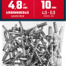 Алюминиевые заклепки ЗУБР 313106-48-10