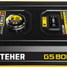 Бензиновый электрогенератор STEHER GS-8000Е
